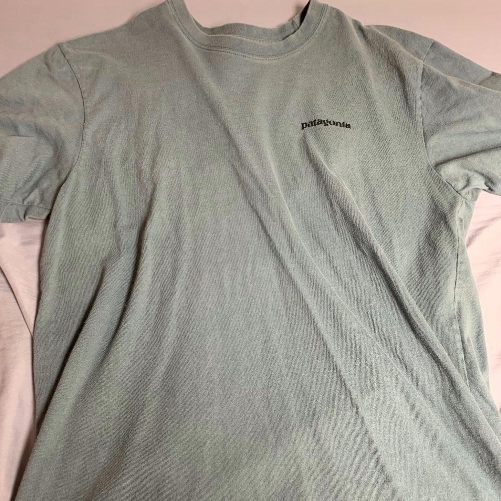 Patagonia shirt